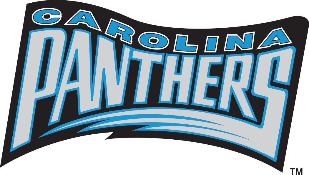 Carolina Panthers 1995 Wordmark Logo DIY iron on transfer (heat transfer)